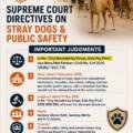Supreme Court directives on stray dog and public safety